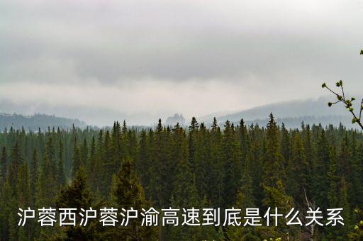 上海市域高速干線，滬寧高速公路線的起點和終點分別是什么