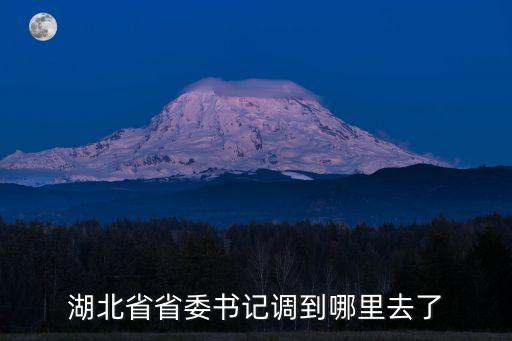 上海市市長調任湖北省委書記，吳衛華為什么被免職