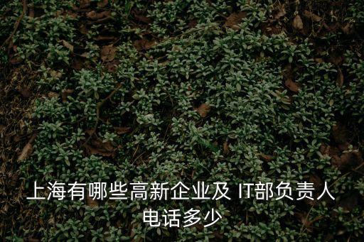 上海有哪些高新企業及 IT部負責人電話多少