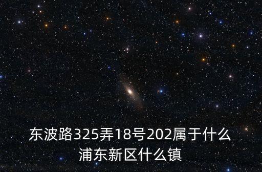 上海市浦東新區東波路325弄，東波路325弄18號202屬于什么浦東新區什么鎮