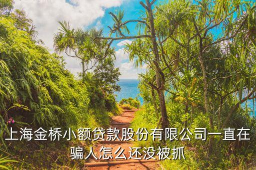 上海市金橋公司，上海金橋小額貸款股份有限公司一直在騙人怎么還沒被抓