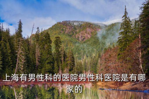 上海市男人科，上海有男性科的醫院男性科醫院是有哪家的