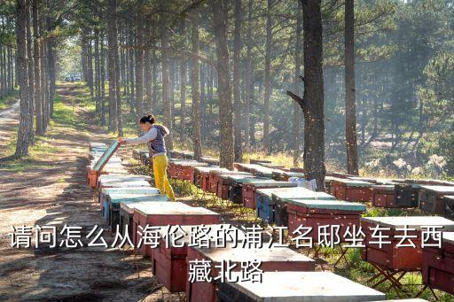 上海市浦江名邸小區，上海浦江名邸有籃球場嗎