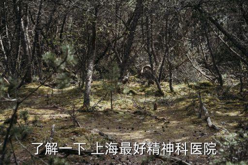 上海市第一精神病醫(yī)院官網(wǎng)，了解一下 上海最好精神科醫(yī)院