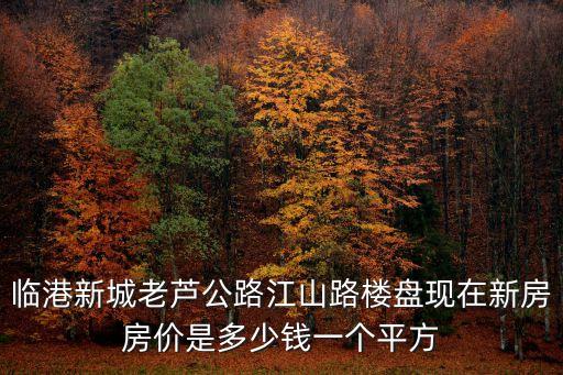 上海市臨港新區房價信息，臨港新城老蘆公路江山路樓盤現在新房房價是多少錢一個平方