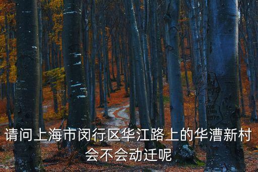 請問上海市閔行區華江路上的華漕新村會不會動遷呢