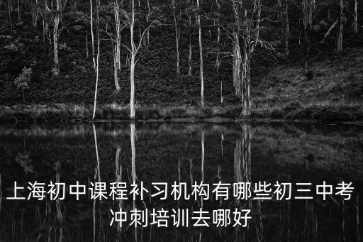 上海市浦江鎮的初中補課班，上海初中課程補習機構有哪些初三中考沖刺培訓去哪好