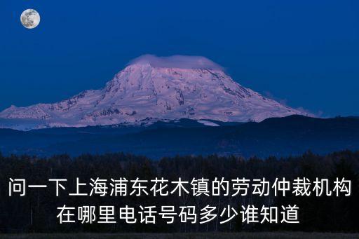 上海市勞動糾紛仲裁，我是上海的要去哪里申請勞動仲裁