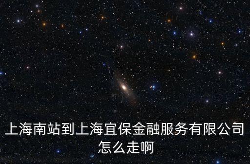 上海南站到上海宜保金融服務有限公司 怎么走啊