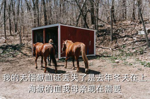 我的無償獻血證丟失了是去年冬天在上海獻的血我母親現(xiàn)在需要