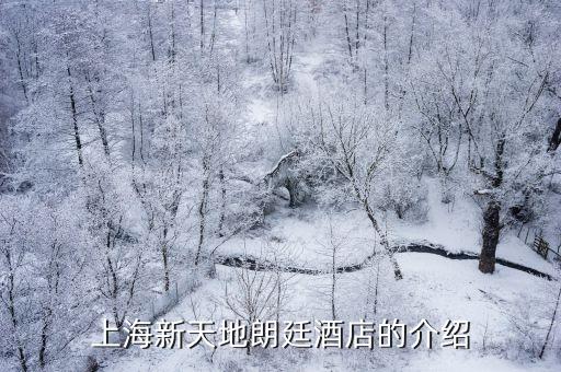 上海市中心的郎庭酒店，上海新天地朗廷酒店的介紹