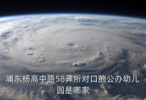 上海市浦東新區蒲公英幼兒園園長，浦東楊高中路58弄所對口的公辦幼兒園是哪家