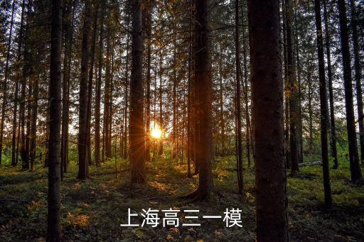 上海市高三虹口語文一模，上海高三一模