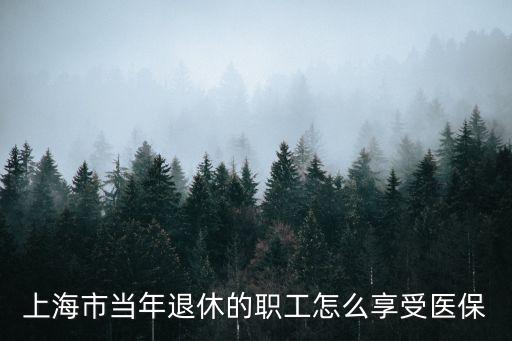 上海市退休職工住院保險流程，上海市當年退休的職工怎么享受醫保