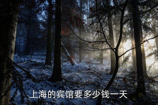 上海市賓館多少錢一天，上海的賓館要多少錢一天