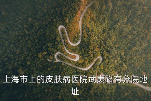 武夷路上的上海市皮膚病防治所，上海市上的皮膚病醫院武夷路有分院地址
