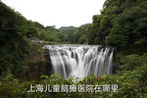 上海市第一康復(fù)醫(yī)院郵箱，上海兒童腦癱醫(yī)院在哪里