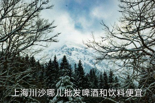上海市批發啤酒在什么地方，上海川沙哪兒批發啤酒和飲料便宜