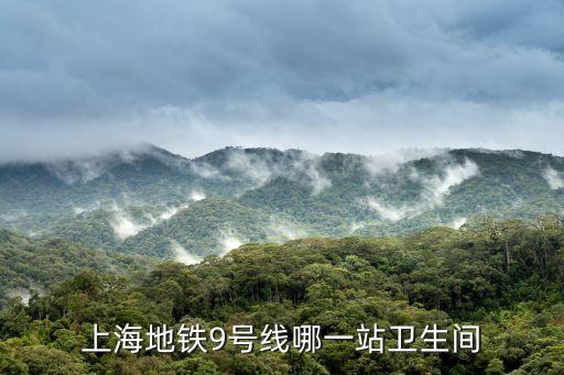 上海市臨平路地鐵站有沒有廁所，上海地鐵9號(hào)線哪一站衛(wèi)生間
