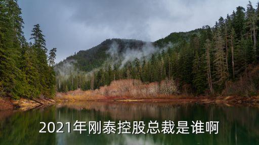 上海市普陀區政協常委章勇，2021年剛泰控股總裁是誰啊
