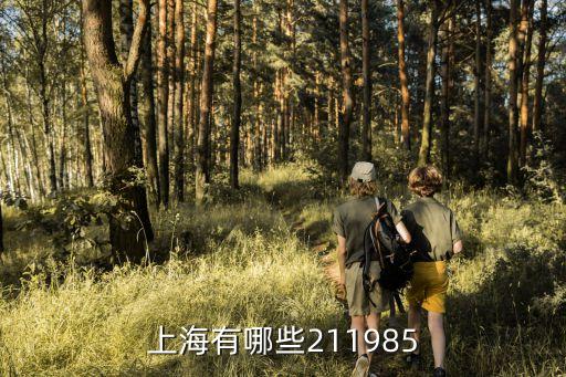 上海市211和985大學名單，上海有哪些211985