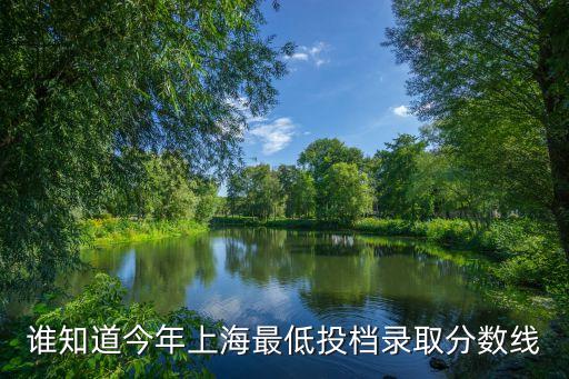 上海市高考最低投檔分數線，誰知道今年上海最低投檔錄取分數線