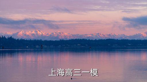 2021上海市松江區高三英語一模答案，上海高三一模