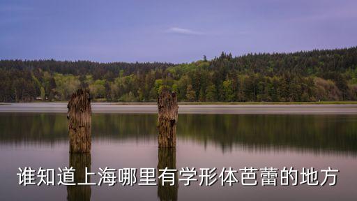 上海市形體舞蹈班，誰知道上海哪里有學形體芭蕾的地方