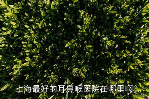 上海市浦東醫院復旦大學附屬醫院，上海最好的耳鼻喉醫院在哪里啊