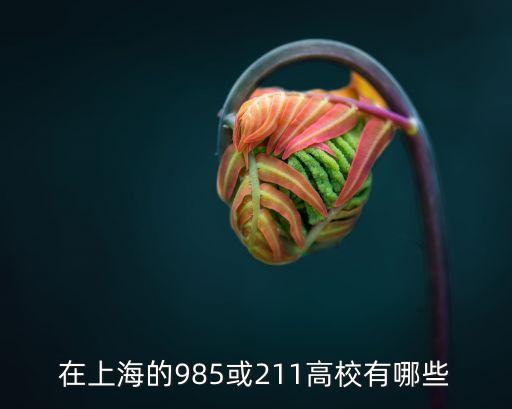 上海市的211和985大學排名，在上海的985或211高校有哪些