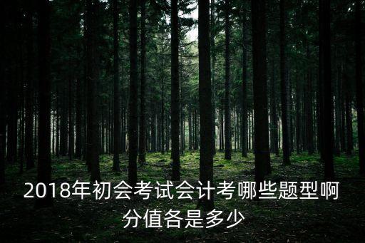 上海市2018年會計初級考試試題，2018年初會考試會計考哪些題型啊 分值各是多少