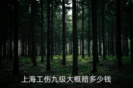 上海市工傷9級傷殘賠償標準，上海工傷九級大概賠多少錢