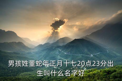 上海市檢察院董學宏，男孩姓董蛇年正月十七20點23分出生叫什么名字好