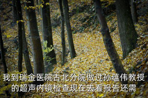 上海市瑞金醫(yī)院消化消化孫蘊(yùn)偉，我到瑞金醫(yī)院古北分院做過孫蘊(yùn)偉教授的超聲內(nèi)鏡檢查現(xiàn)在去看報(bào)告還需