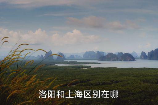 上海市與洛陽市關系，洛陽和上海區(qū)別在哪