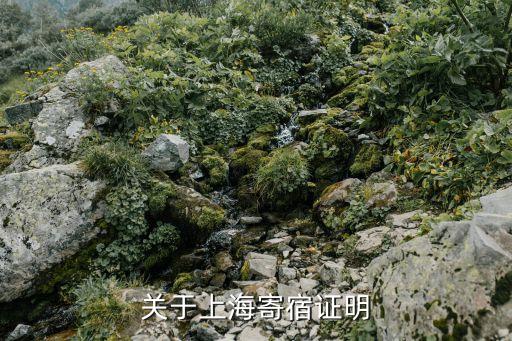 上海市單位宿舍居住證明，關于上海寄宿證明