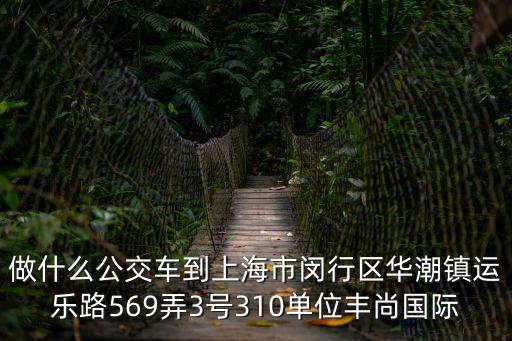 上海市閔行310，做什么公交車到上海市閔行區(qū)華潮鎮(zhèn)運(yùn)樂路569弄3號310單位豐尚國際