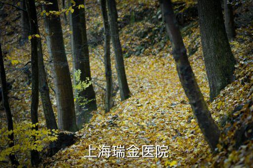 上海市瑞金康復(fù)醫(yī)院簡介，上海瑞金醫(yī)院