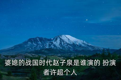 上海市委黨校許超，婆媳的戰國時代趙子泉是誰演的 扮演者許超個人