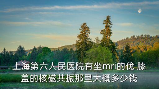 上海市六院有nt，上海第六人民醫(yī)院有坐mri的伐 膝蓋的核磁共振那里大概多少錢