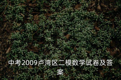 上海市中考2009年數學考卷，中考2009盧灣區二模數學試卷及答案