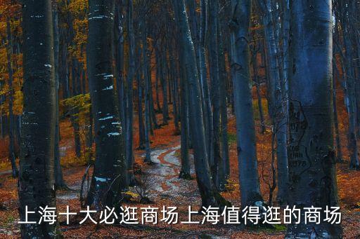 上海市中心大的商場，上海十大必逛商場上海值得逛的商場