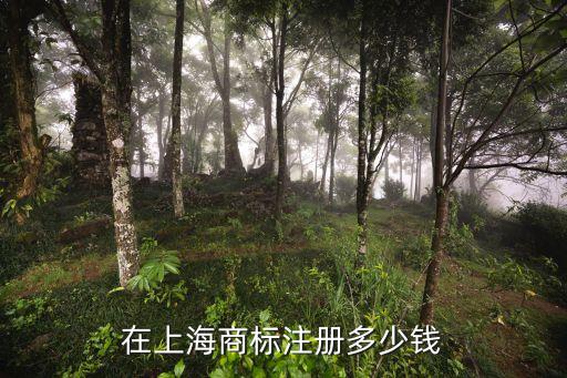上海市商標代理注冊需要多少錢，在上海商標注冊多少錢