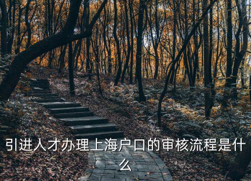 上海市的引進人才申報戶口，引進人才辦理上海戶口的審核流程是什么