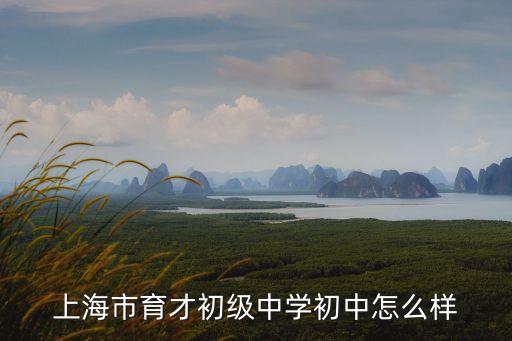 上海市育才初級中學是高中嗎，上海市育才初級中學初中怎么樣