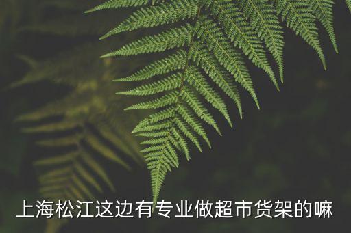 上海市松江區貨架公司廠家，上海松江這邊有專業做超市貨架的嘛