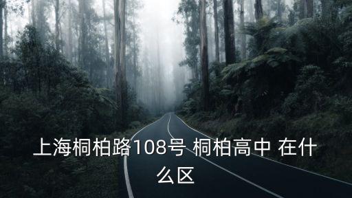 上海市凌橋中學屬于哪個區，上海桐柏路108號 桐柏高中 在什么區
