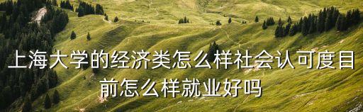 上海市大學認可度，上海大學的經(jīng)濟類怎么樣社會認可度目前怎么樣就業(yè)好嗎