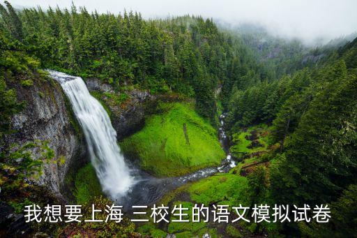 2018高三上海市三模語文答案，我想要上海 三校生的語文模擬試卷
