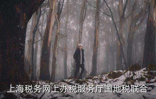 上海市全市辦稅服務廳arm，上海稅務網上辦稅服務廳國地稅聯合